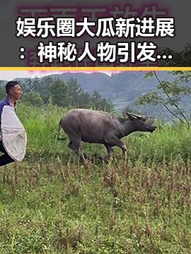 娱乐圈大瓜新进展：神秘人物引发全网热议，关系动向成焦点